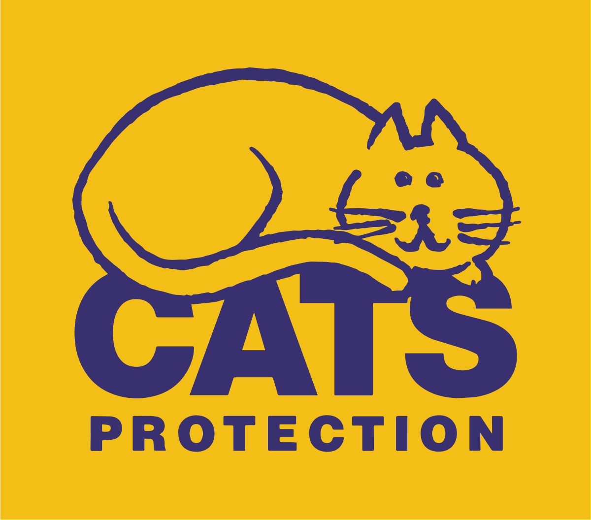 Cat org. Cat protect. Cat protects Cat. The Cats Protection League. Кембридж Кэт спеакинг парт 3.